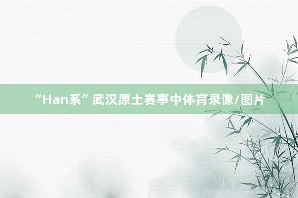 “Han系”武汉原土赛事中体育录像/图片
