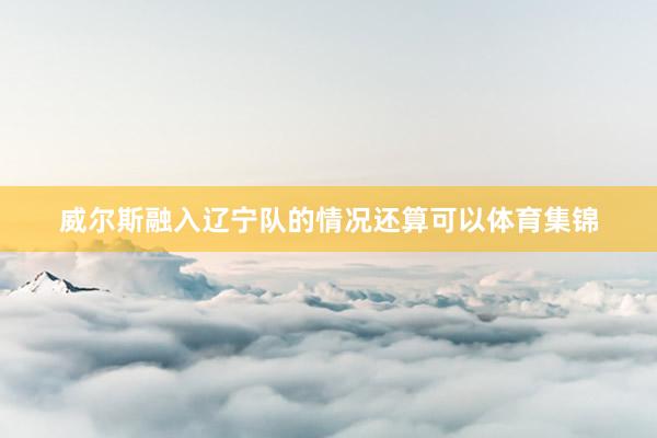 威尔斯融入辽宁队的情况还算可以体育集锦