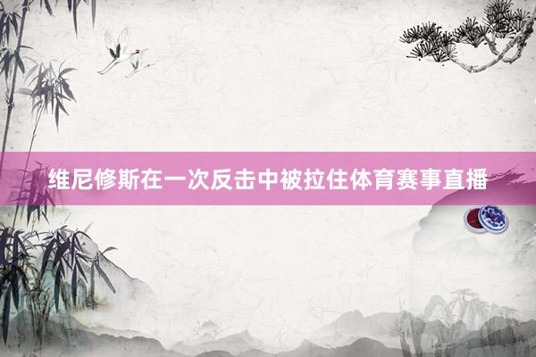 维尼修斯在一次反击中被拉住体育赛事直播