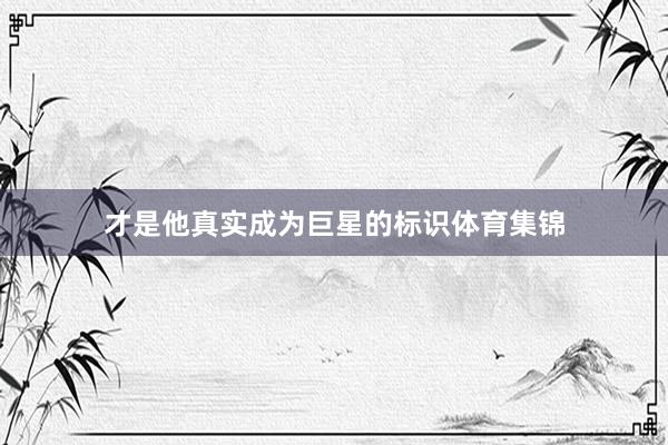 才是他真实成为巨星的标识体育集锦