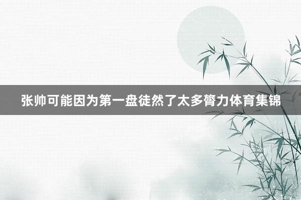张帅可能因为第一盘徒然了太多膂力体育集锦