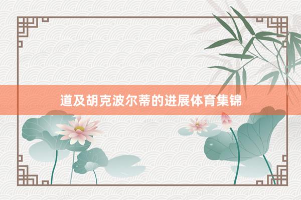 道及胡克波尔蒂的进展体育集锦