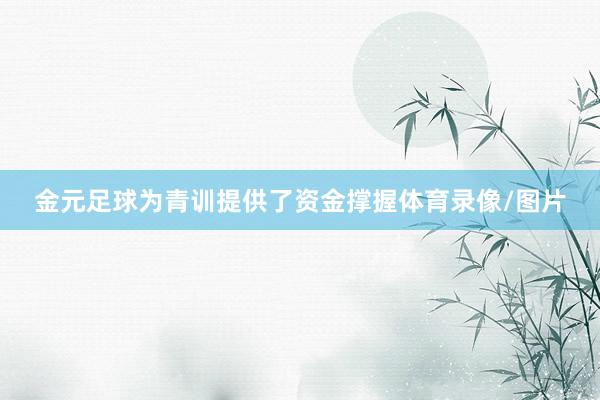 金元足球为青训提供了资金撑握体育录像/图片