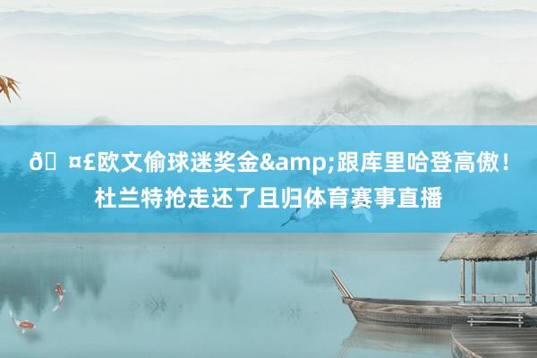 🤣欧文偷球迷奖金&跟库里哈登高傲！杜兰特抢走还了且归体育赛事直播