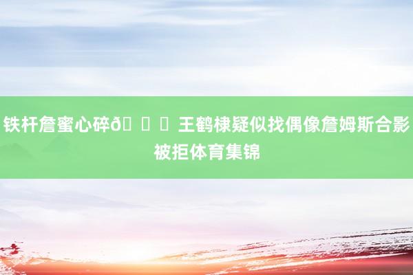 铁杆詹蜜心碎💔王鹤棣疑似找偶像詹姆斯合影被拒体育集锦