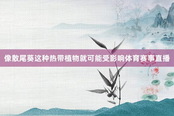 像散尾葵这种热带植物就可能受影响体育赛事直播