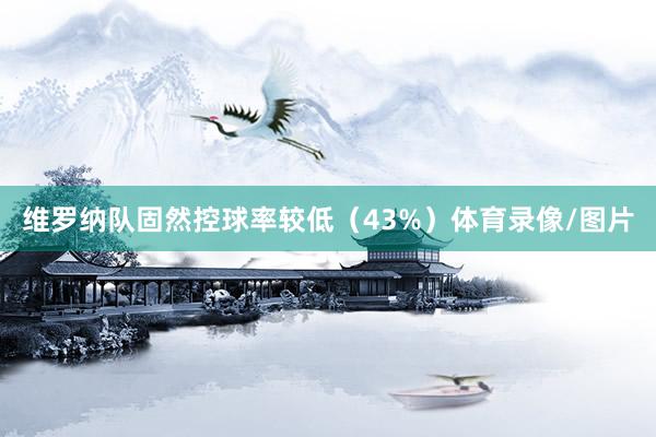 维罗纳队固然控球率较低(43%)体育录像/图片