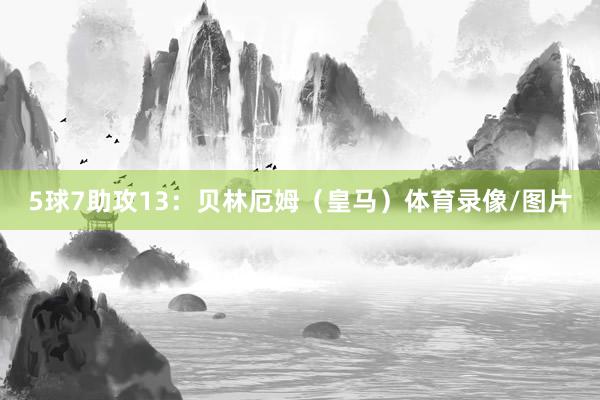 5球7助攻13：贝林厄姆（皇马）体育录像/图片