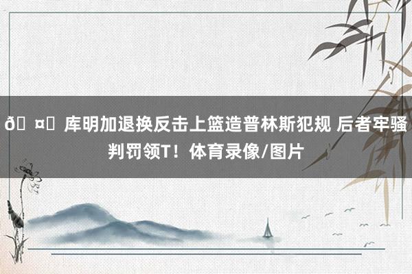 🤔库明加退换反击上篮造普林斯犯规 后者牢骚判罚领T！体育录像/图片