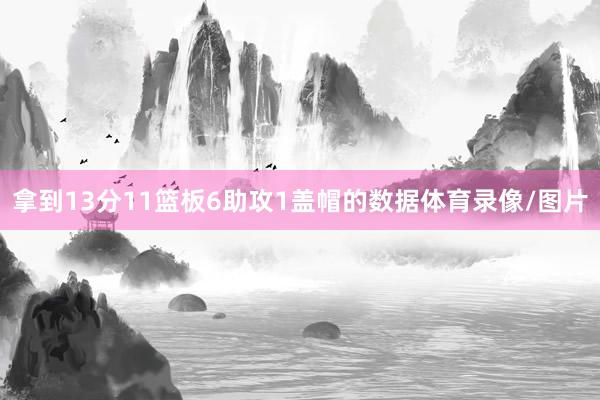 拿到13分11篮板6助攻1盖帽的数据体育录像/图片
