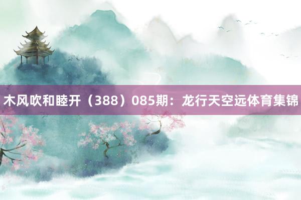 木风吹和睦开(388) 085期:龙行天空远体育集锦