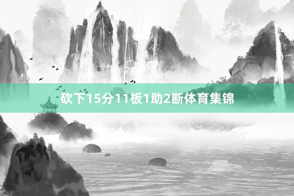 砍下15分11板1助2断体育集锦