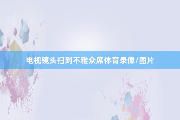 电视镜头扫到不雅众席体育录像/图片